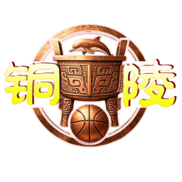 铜陵市